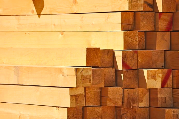 Vendita Legno strutturale